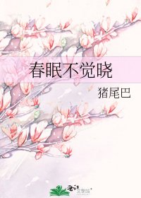春眠不觉晓