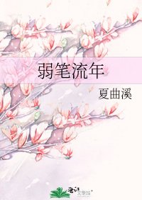 弱筆流年