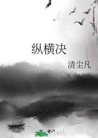 纵横决